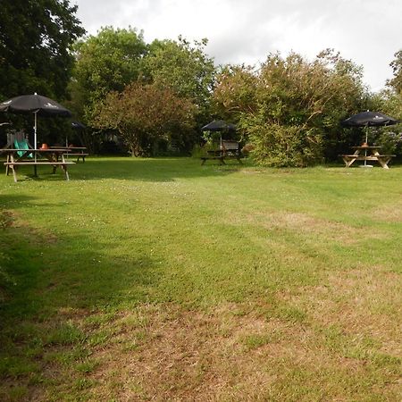 The Royal Oak Inn Dunsford Extérieur photo
