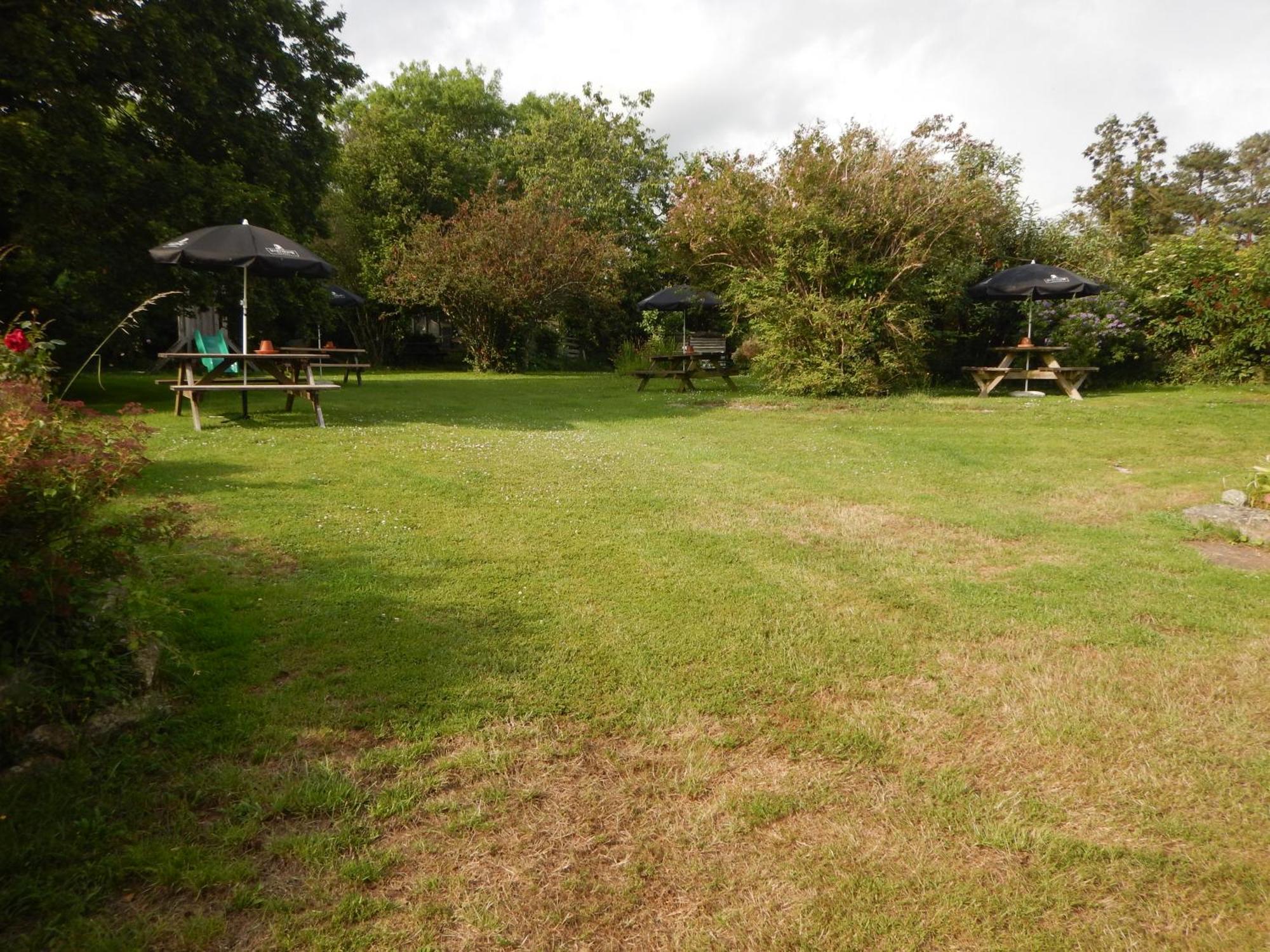 The Royal Oak Inn Dunsford Extérieur photo